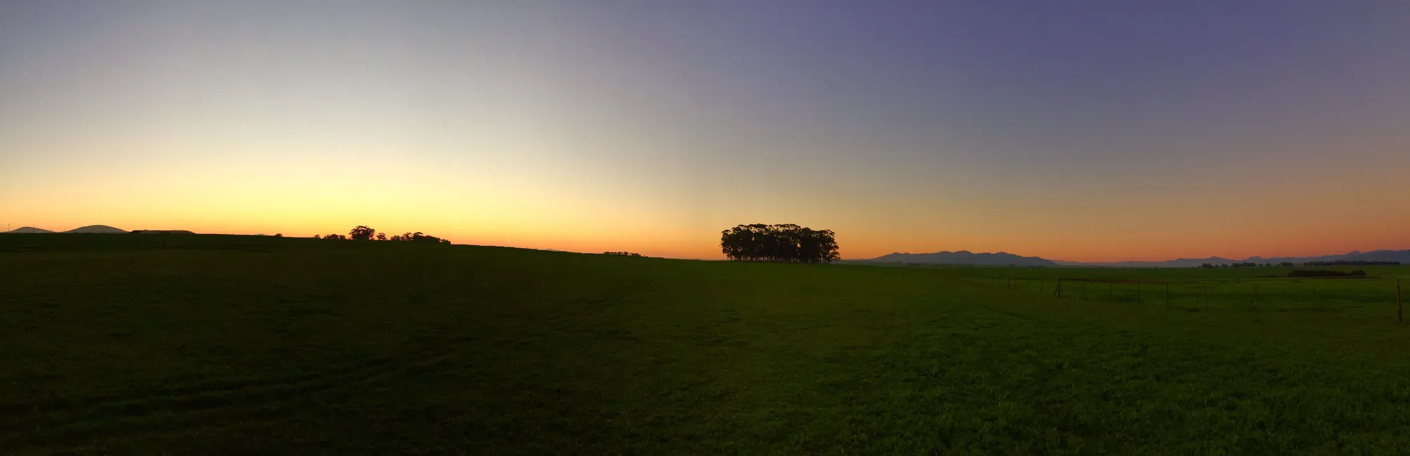 A calm sky glowing orange and violet at the horizon above dark green fields and a small grove of trees, wide panorama